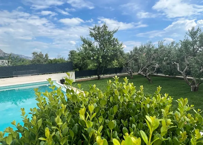 Camadra * מאקרסקה